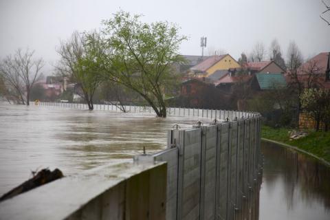 Naslovna slika