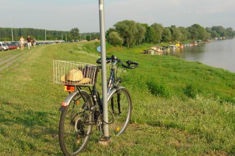 naslovna