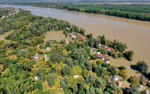 naslovna