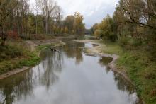Foto: Goran Šafarek