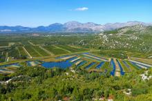 Neretva