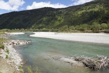 Obnova rijeke Drave, foto: Goran Šafarek