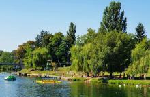 slika 1