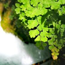 Slika 1